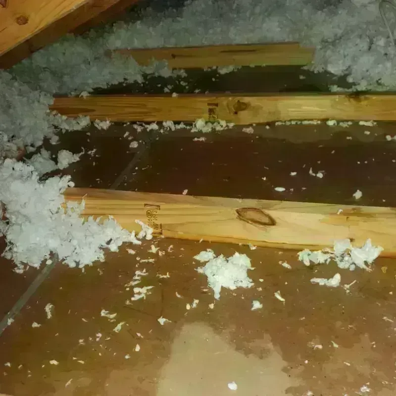 Attic Water Damage in Chester, WV