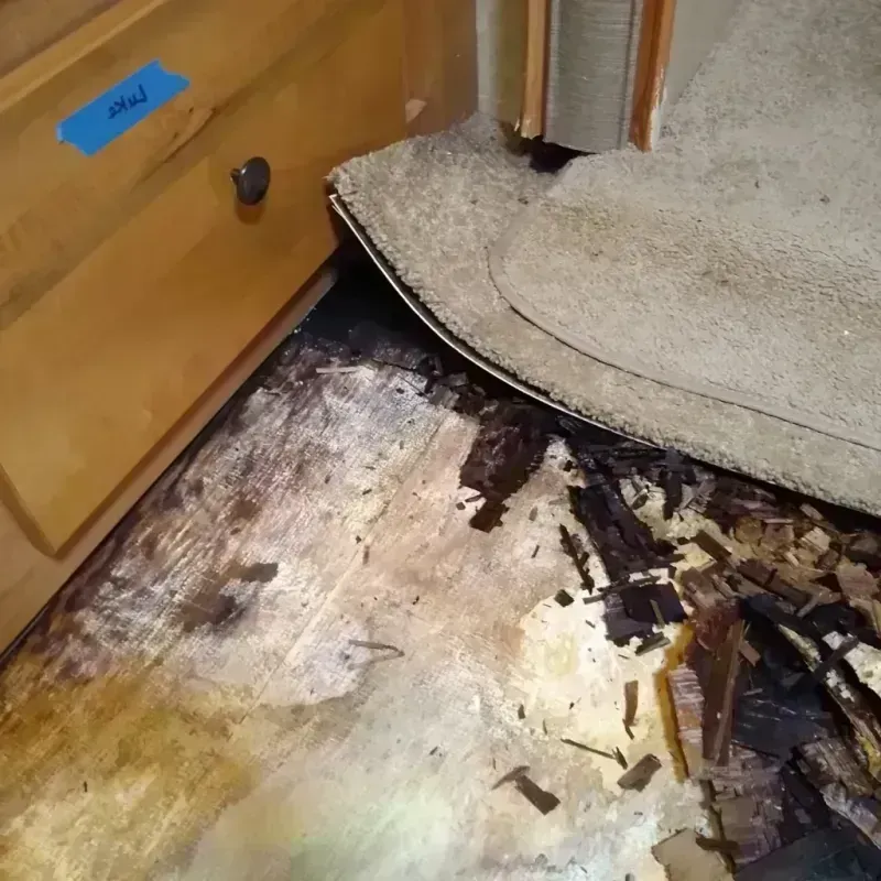 Wood Floor Water Damage in Chester, WV